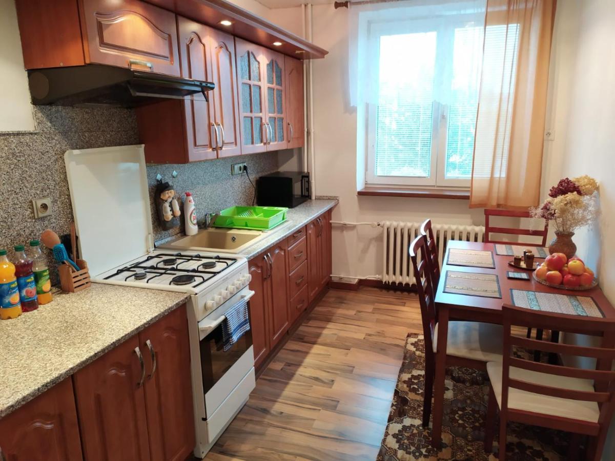Byt Puskinova Daire Hradec Králové Dış mekan fotoğraf